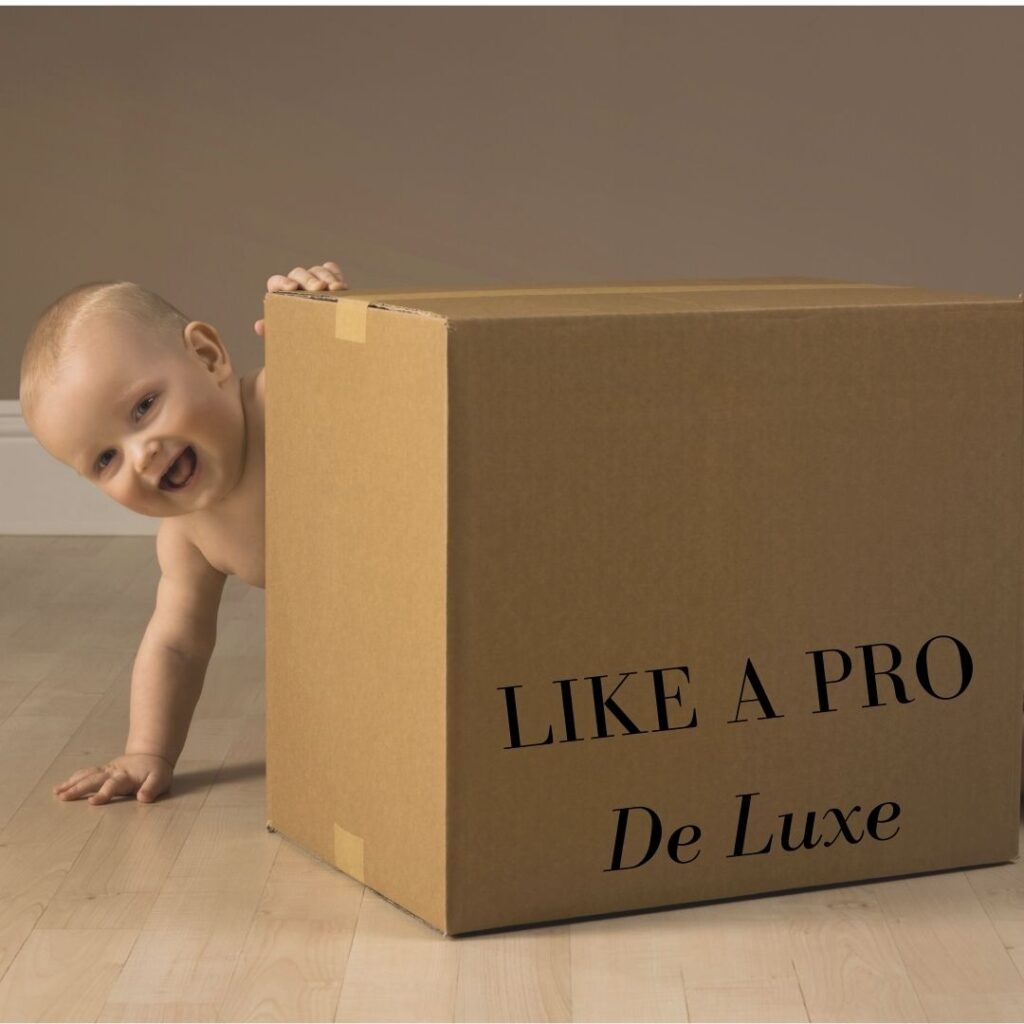 LAP doos glazuren : De Luxe